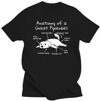 Camiseta de Anatómiája Egy Nagy pirinees, divertida Camiseta de gran pirineos, camiseta de gran perrot pirineos, 2022