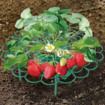 Kerek Műanyag Eper Állni Kertészeti Konzol Növény Ketrec & Támogatja Erkély Zöldséget, Gyümölcsöt Hegymászás Pillér Eszközök